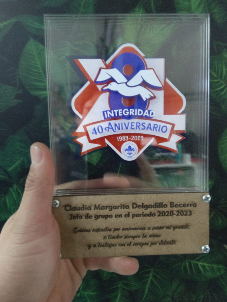 Reconocimiento modelo VITRO - Acrilco impreso y Madera grabada - frontal