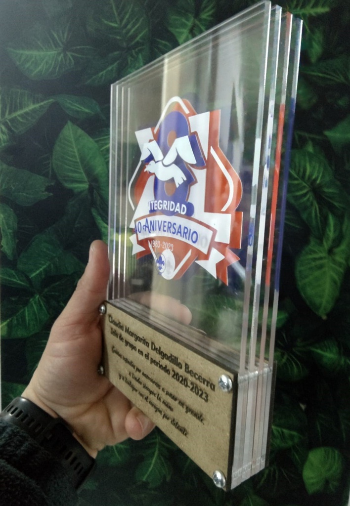 Reconocimiento modelo VITRO - Acrilco impreso y Madera grabada